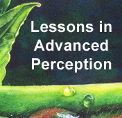 Lessons in Advanced Perception button